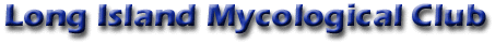 Long Island Mycological Club